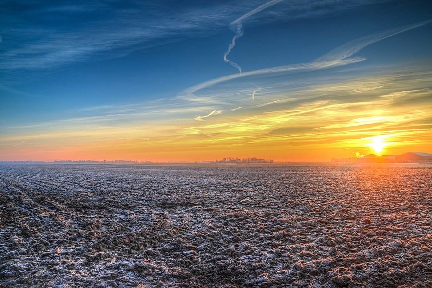 Frosty Brown Field at Golden Sunset