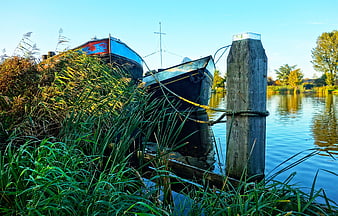 Moored boats in tall reeds by a calm river