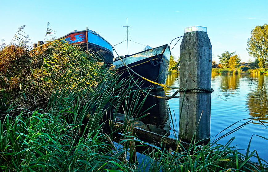 Moored boats in tall reeds by a calm river