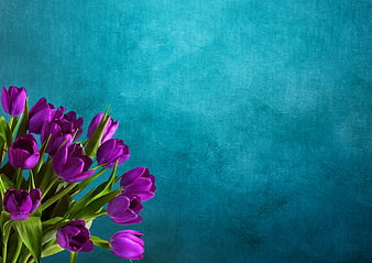 Purple Tulips on Textured Teal Background with Copy Space