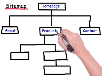 Hand drawing website sitemap hierarchy diagram on whiteboard