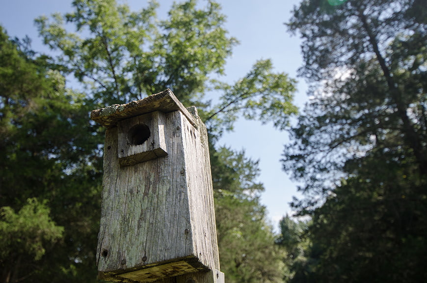 Weathered wooden birdhouse in a forest setting