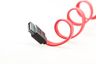 Red SATA Cable Close-Up on White Background
