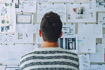 Designer Reviewing UX Wireframes and Mood Board on Office Wall
