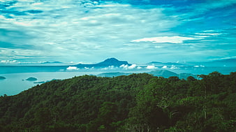 Lush Green Forest Overlooking Lake and Distant Mountain
