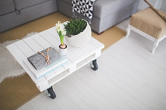 White Pallet Coffee Table with Plants and Books in Living Room