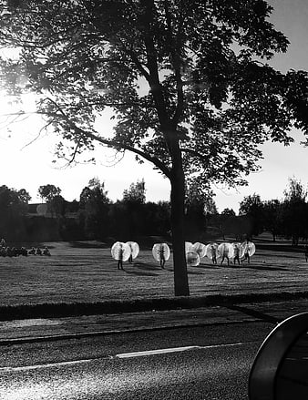 Black and white photo of people in zorb balls in a park