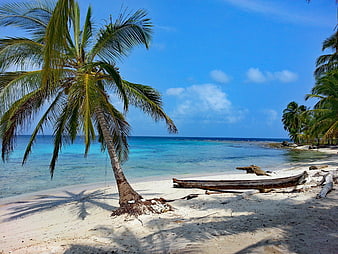 Tropical Beach Scene With Leaning Palm Tree And Old Wooden Boat