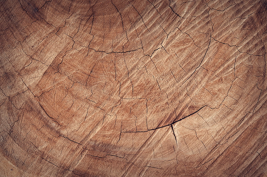 Close-up of cracked wooden tree stump texture background