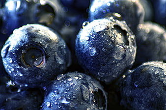 Macro Close-Up of Fresh Blueberries With Water Droplets
