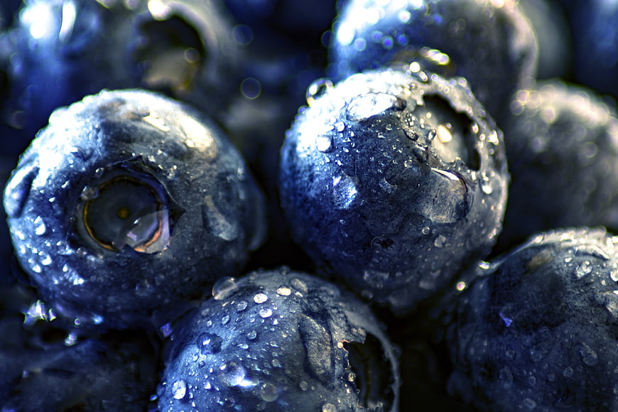 Macro Close-Up of Fresh Blueberries With Water Droplets