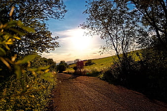 Sunlit country road winding through trees and green hills