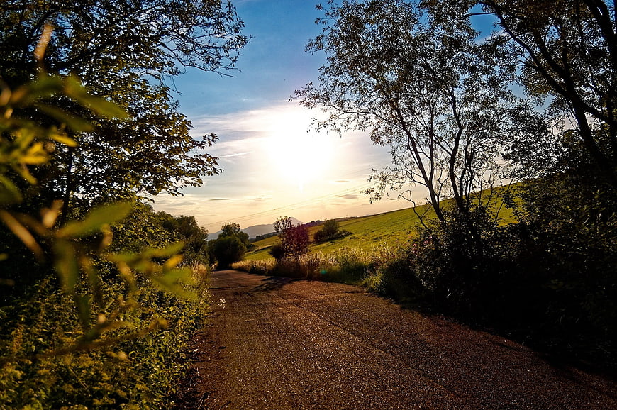 Sunlit country road winding through trees and green hills