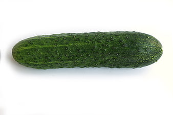 Fresh Green Cucumber Isolated on White Background