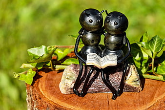 Cute Iron Ant Couple Reading Book On Tree Stump