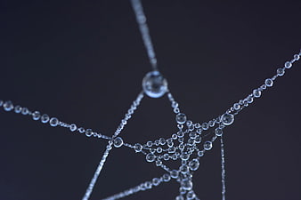 Close-up of silver jewelry chain with water droplets