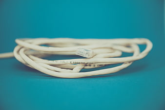 White Ethernet Cable Coiled on Blue Background
