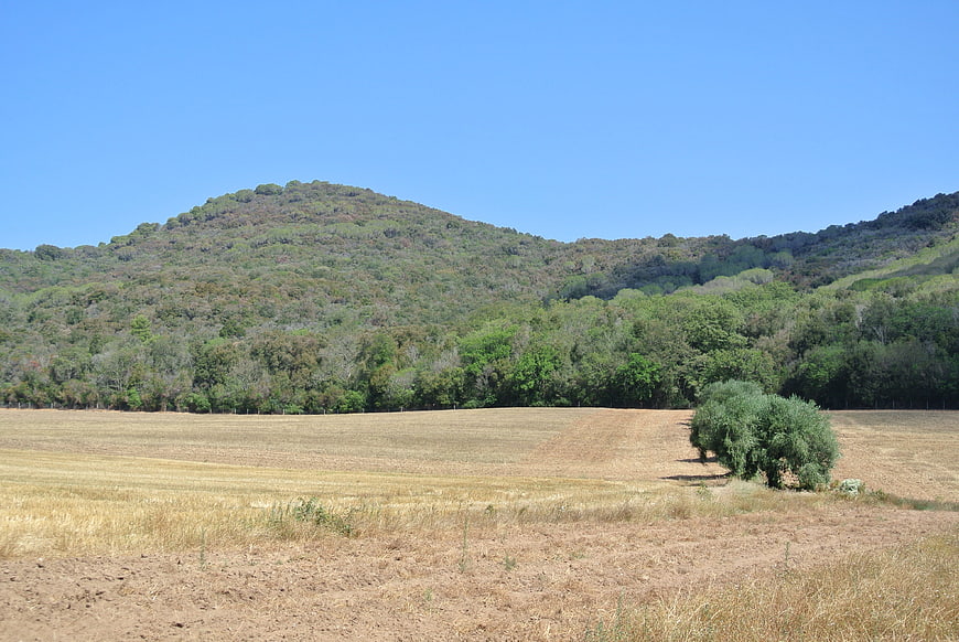 Sunlit Tuscany landscape with dry field and green hills