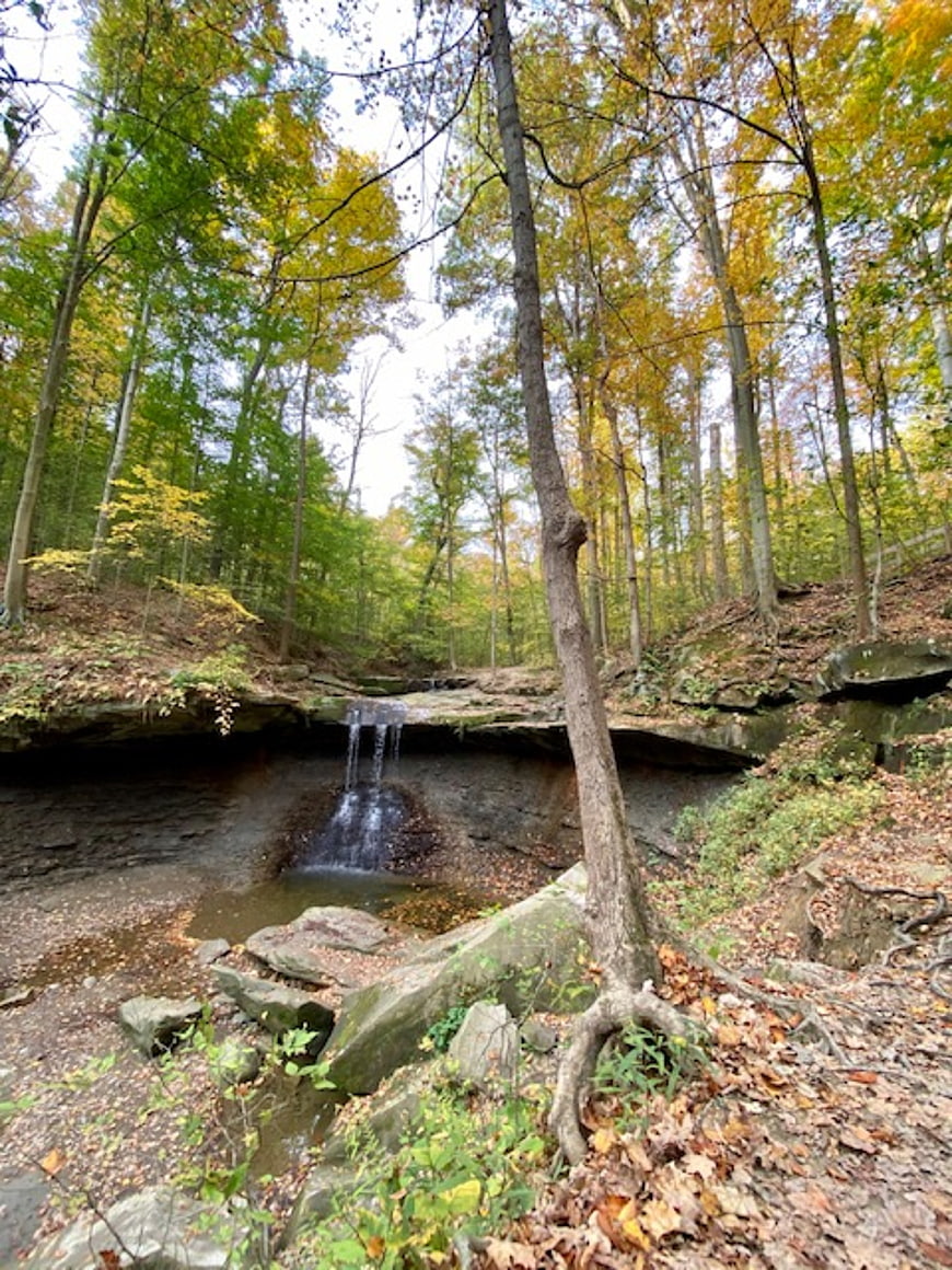 Small waterfall in autumn forest with yellow leaves