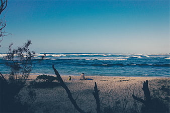 Lone figure sitting on sandy beach with blue ocean waves