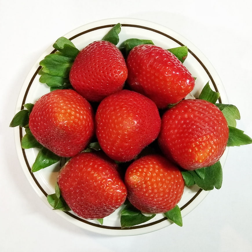 Fresh Red Strawberries on White Plate Top View