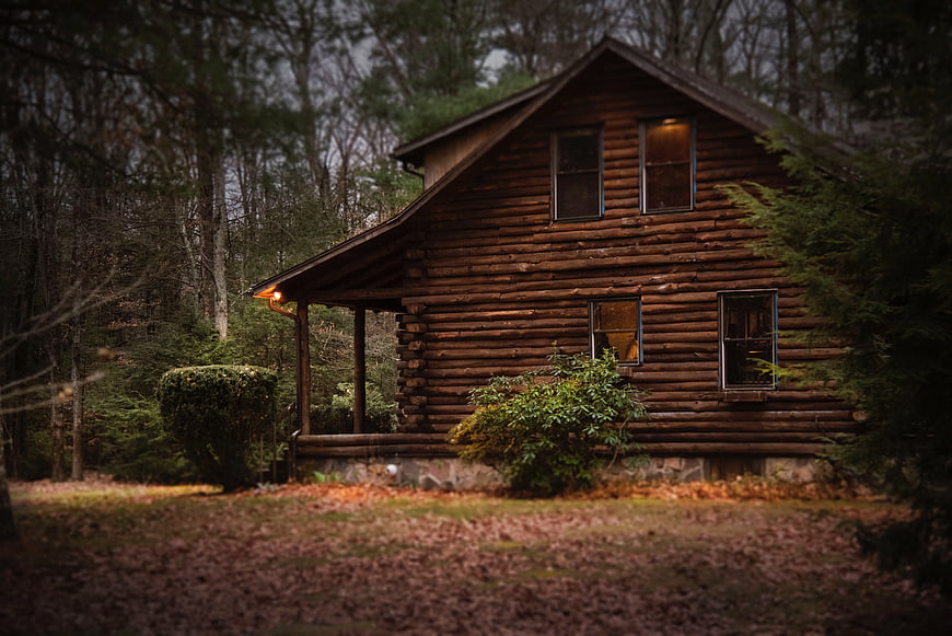 Rustic Log Cabin in Forest with Warm Window Light