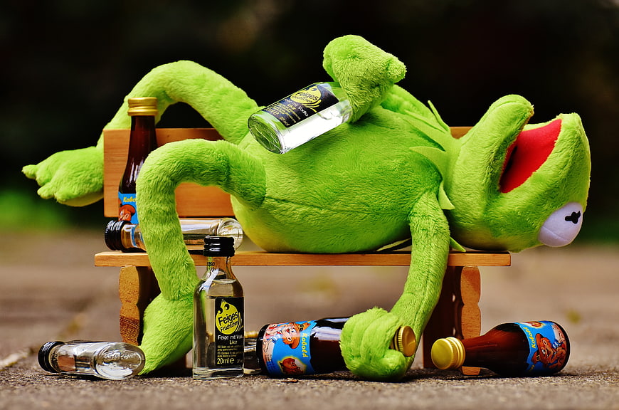 Drunk Kermit the Frog Plush Toy with Miniature Alcohol Bottles