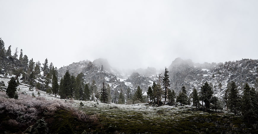 Misty Snow-Covered Mountain Landscape with Pine Trees