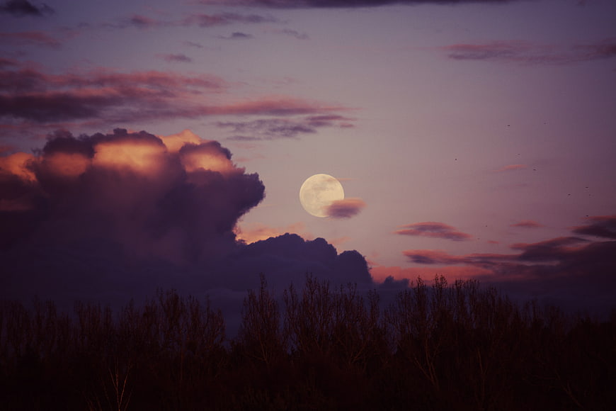 Full Moon Rising Over Silhouetted Trees at Dusk