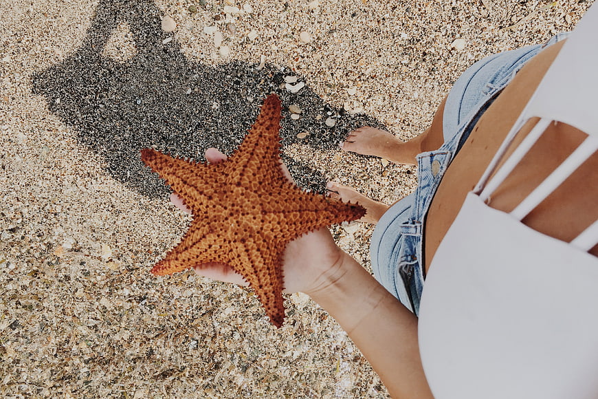 Woman holding orange starfish on sandy beach