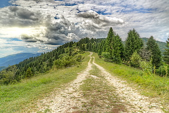 Dirt hiking trail winding through mountain forest ridge
