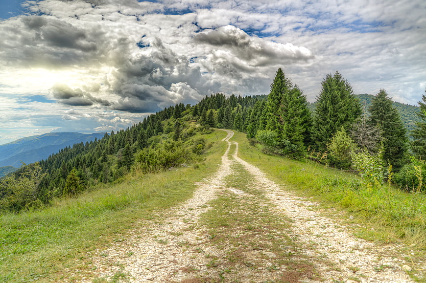 Dirt hiking trail winding through mountain forest ridge