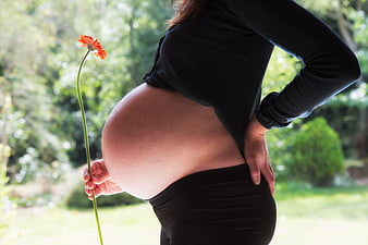 Pregnant woman holding orange flower in garden