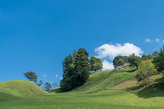 Rolling Green Hills and Blue Sky Summer Landscape