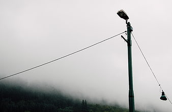 Green Street Lamp Pole in Foggy Forest Landscape