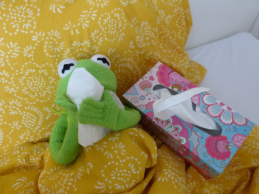 Kermit the Frog plush toy with tissues on yellow patterned blanket