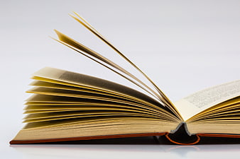 Open book with pages fanning out against a white background