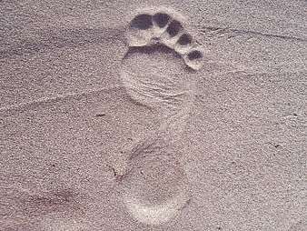 Single Bare Footprint in Sand
