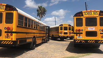 Yellow School Buses Parked in Lot Under Blue Sky