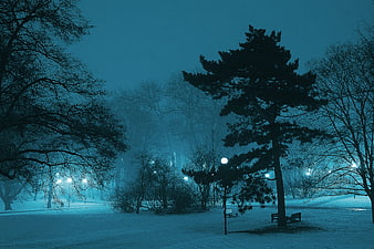 Snowy Park at Night with Street Lamps and Trees