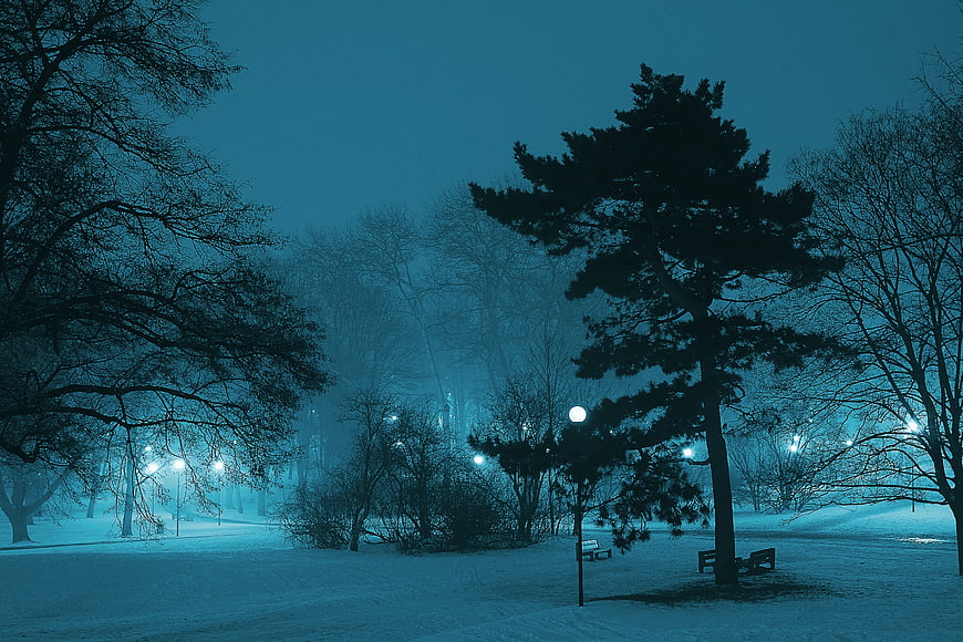 Snowy Park at Night with Street Lamps and Trees