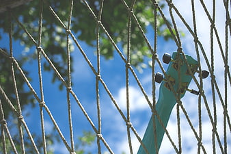 Teal guitar headstock behind rope netting against blue sky
