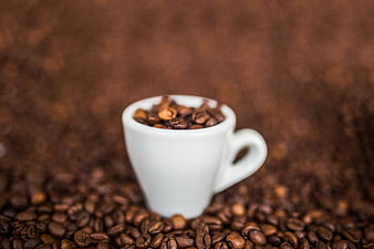 White Espresso Cup Filled with Coffee Beans on Brown Background