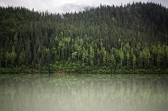 Serene Forest Lake with Misty Mountain Reflection