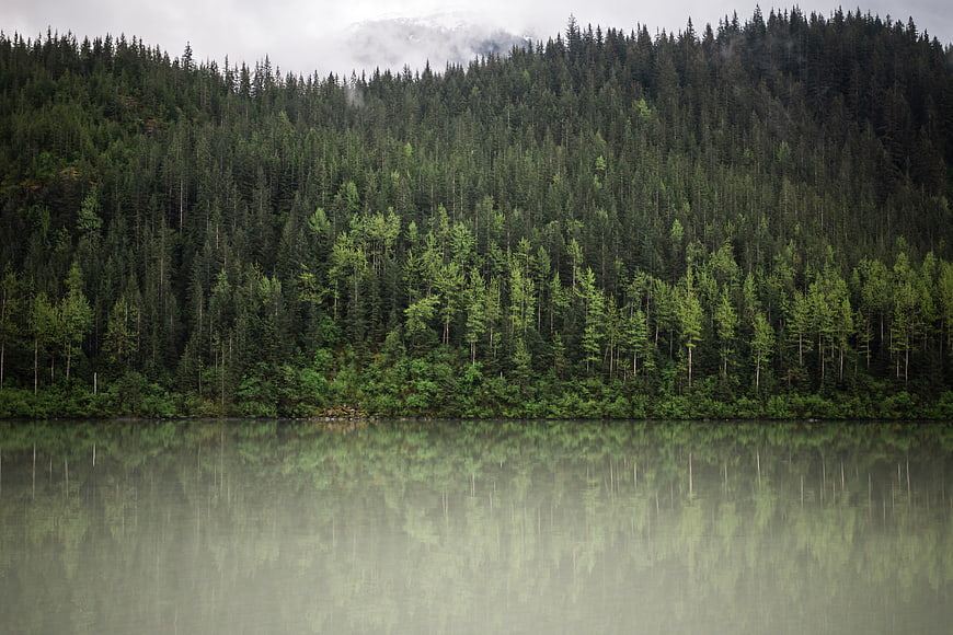 Serene Forest Lake with Misty Mountain Reflection