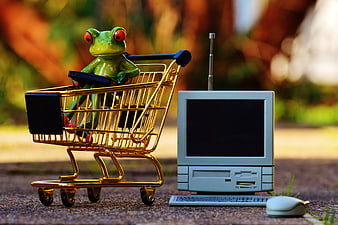 Miniature frog in golden shopping cart with retro computer