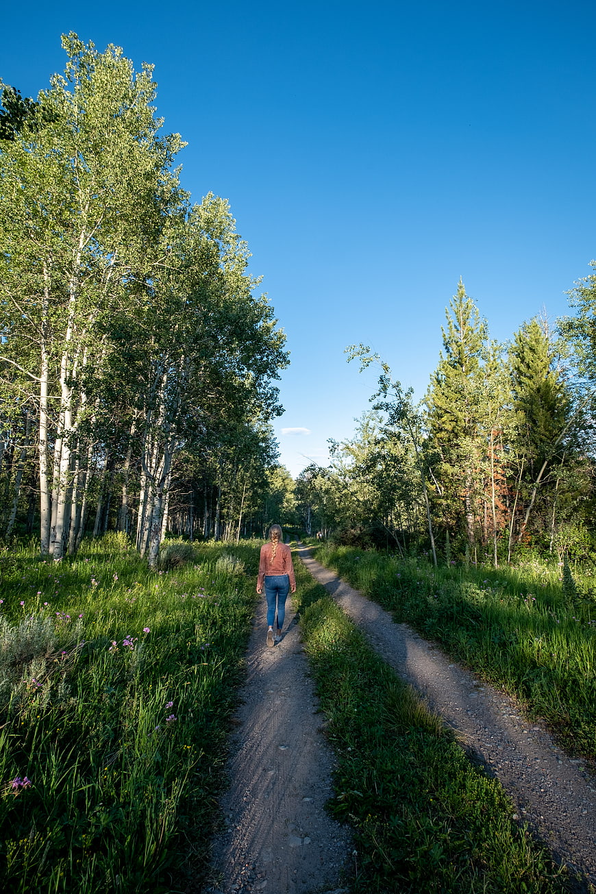 Woman Walking Away on Forest Trail Under Blue Sky