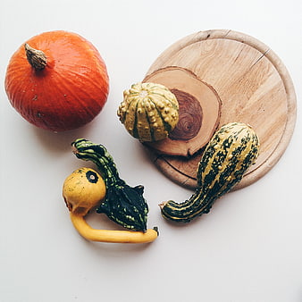 Top view of decorative gourds and pumpkin on white background