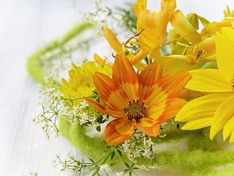 Vibrant Orange And Yellow Floral Arrangement On White Background