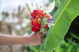 Hand holding colorful tropical flower bouquet outdoors